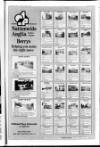 Horncastle News Thursday 01 February 1990 Page 41