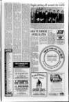 Horncastle News Thursday 12 April 1990 Page 17