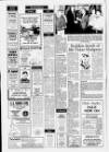 Horncastle News Thursday 14 January 1993 Page 2