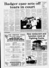 Horncastle News Thursday 14 January 1993 Page 10