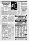 Horncastle News Thursday 14 January 1993 Page 13