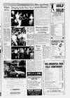 Horncastle News Thursday 14 January 1993 Page 15