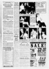 Horncastle News Thursday 21 January 1993 Page 15