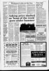 Horncastle News Thursday 11 March 1993 Page 3
