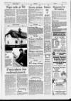 Horncastle News Thursday 11 March 1993 Page 15