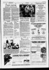 Horncastle News Thursday 01 April 1993 Page 15