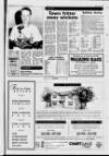 Horncastle News Thursday 05 August 1993 Page 41
