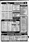 Portadown News Friday 31 October 1980 Page 17