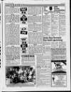 Louth Standard Friday 04 June 1993 Page 43