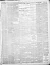 Lincoln Leader and County Advertiser Saturday 19 December 1896 Page 3