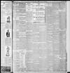 Lincoln Leader and County Advertiser Saturday 27 November 1897 Page 3