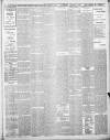 Lincoln Leader and County Advertiser Saturday 04 February 1899 Page 5