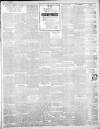 Lincoln Leader and County Advertiser Saturday 01 April 1899 Page 3