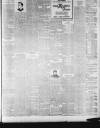 Lincoln Leader and County Advertiser Saturday 27 January 1900 Page 3