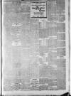 Lincoln Leader and County Advertiser Saturday 17 March 1900 Page 3
