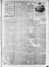 Lincoln Leader and County Advertiser Saturday 31 March 1900 Page 3