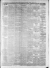 Lincoln Leader and County Advertiser Saturday 31 March 1900 Page 5