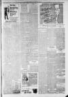 Lincoln Leader and County Advertiser Saturday 14 April 1900 Page 3