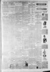 Lincoln Leader and County Advertiser Saturday 21 April 1900 Page 3