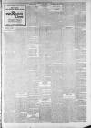 Lincoln Leader and County Advertiser Saturday 16 June 1900 Page 3
