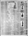 Lincoln Leader and County Advertiser Saturday 27 October 1900 Page 3