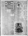 Lincoln Leader and County Advertiser Saturday 10 November 1900 Page 3