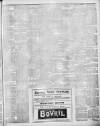 Lincoln Leader and County Advertiser Saturday 09 February 1901 Page 3