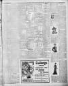 Lincoln Leader and County Advertiser Saturday 16 February 1901 Page 3