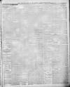 Lincoln Leader and County Advertiser Saturday 23 February 1901 Page 5