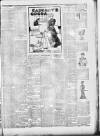 Lincoln Leader and County Advertiser Saturday 23 March 1901 Page 3