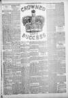 Lincoln Leader and County Advertiser Saturday 08 June 1901 Page 3