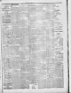 Lincoln Leader and County Advertiser Saturday 15 June 1901 Page 5