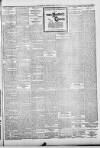 Lincoln Leader and County Advertiser Saturday 19 October 1901 Page 3