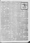 Lincoln Leader and County Advertiser Saturday 18 January 1902 Page 5