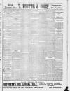 Lincoln Leader and County Advertiser Saturday 15 February 1902 Page 7