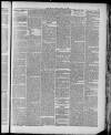 Brighouse Echo Friday 18 April 1890 Page 5