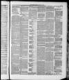 Brighouse Echo Friday 27 June 1890 Page 3