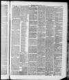 Brighouse Echo Friday 27 June 1890 Page 7