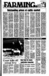 Carrick Times and East Antrim Times Thursday 04 August 1988 Page 19