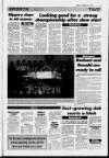 Deeside Piper Friday 05 February 1993 Page 33
