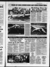 Deeside Piper Friday 02 July 1993 Page 33