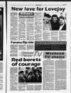 Deeside Piper Friday 03 September 1993 Page 17