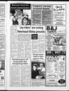 Hucknall Dispatch Friday 07 April 1989 Page 3