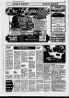 Hucknall Dispatch Friday 17 March 1995 Page 19