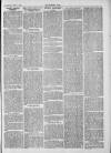 Midhurst and Petworth Observer Saturday 01 June 1889 Page 7