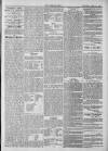 Midhurst and Petworth Observer Saturday 29 June 1889 Page 5