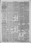 Midhurst and Petworth Observer Saturday 13 July 1889 Page 5