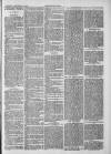 Midhurst and Petworth Observer Saturday 07 September 1889 Page 3