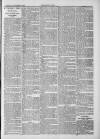 Midhurst and Petworth Observer Saturday 21 December 1889 Page 3