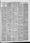Midhurst and Petworth Observer Saturday 14 January 1893 Page 7